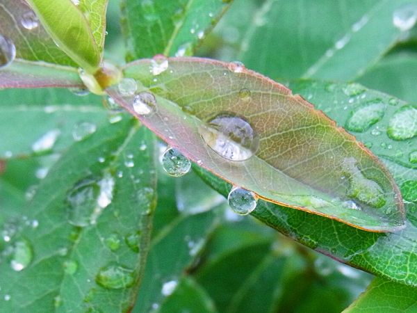雨の日にウォーキングはした方がいい？