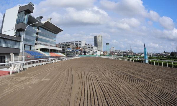 地方競馬の方が当てやすい？