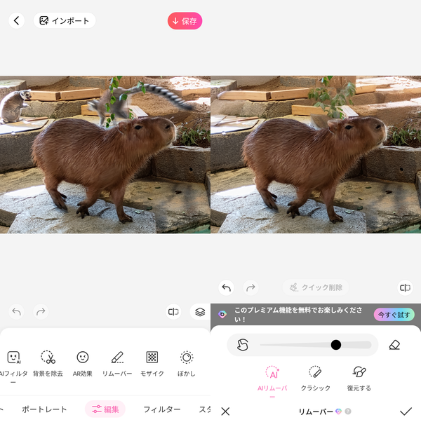 写り込んだ人物・物体除去の画像例