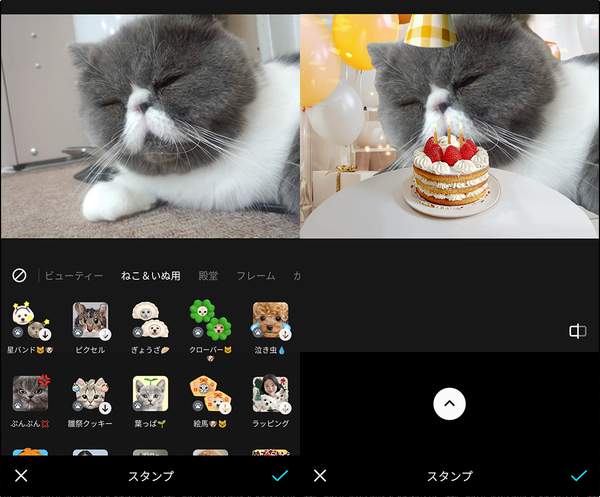 『SNOW』の犬・猫専用スタンプ画面