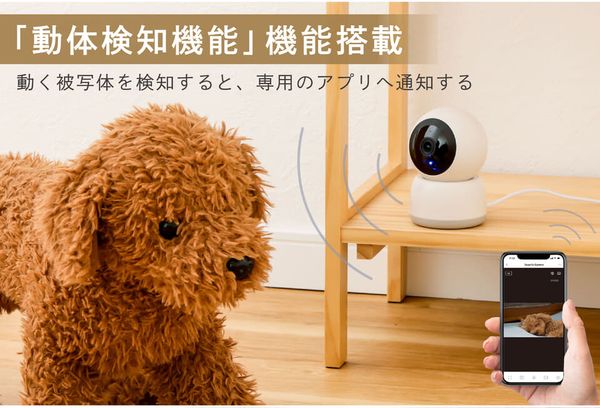 スリコの見守りカメラ