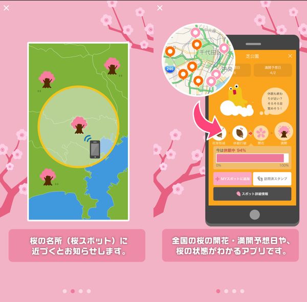 桜のきもち