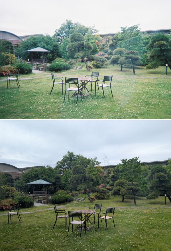 写ルンです　写真比較