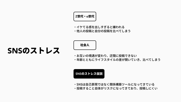 SNSのストレスの解説画像