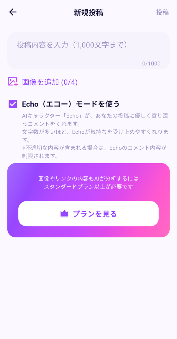 「Echo」の設定画面の画像