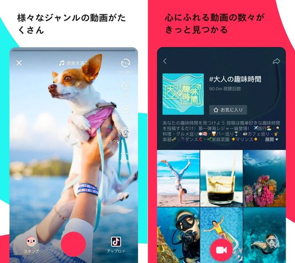 TikTokアプリ画面