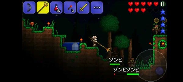 有料ゲーム　テラリア