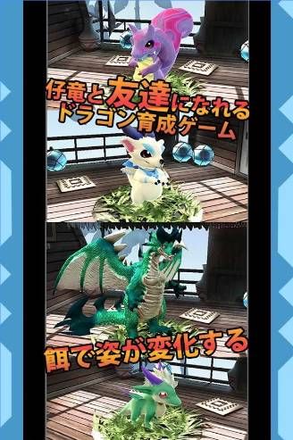 仔竜の風詩　イメージ画像