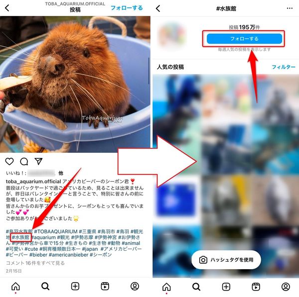投稿についたハッシュタグをタップして検索