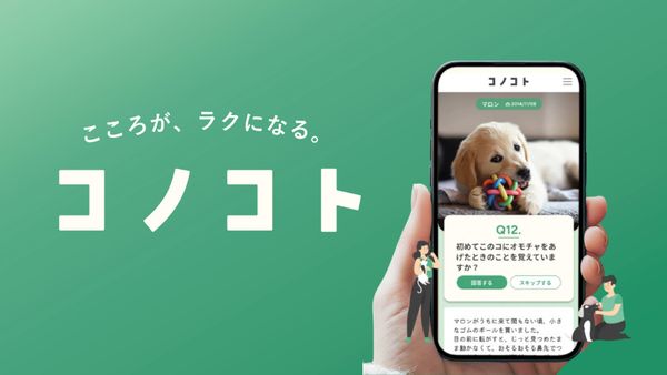 コノコトの画像