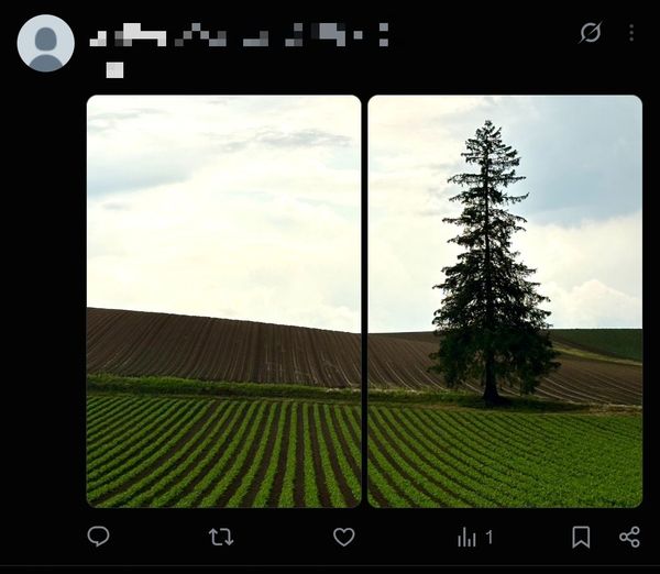 2枚の画像を1枚につなげて見せた例
