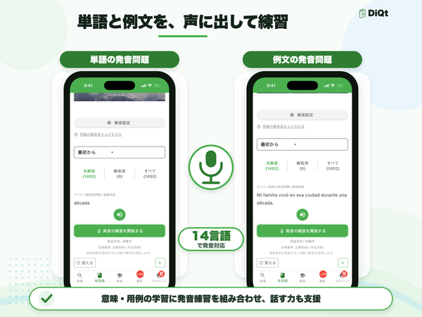 対象言語の語彙と例文の発音問題も収録