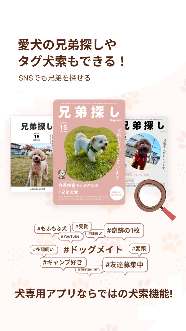 兄弟探しのイメージ
