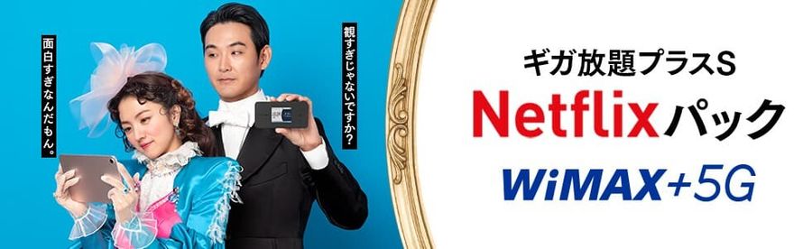 WiMAX_Netflixパック
