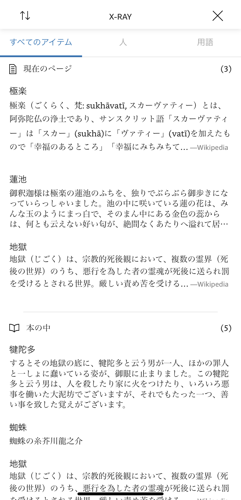 X-Rayの画面