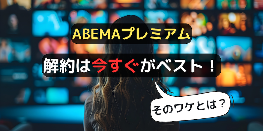 動画配信サービスを視聴する女性の後ろ姿のイメージ画像