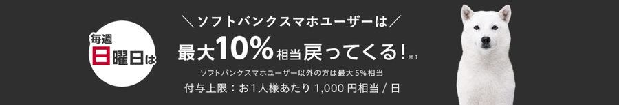 日曜日はPayPayボーナス10％の画像