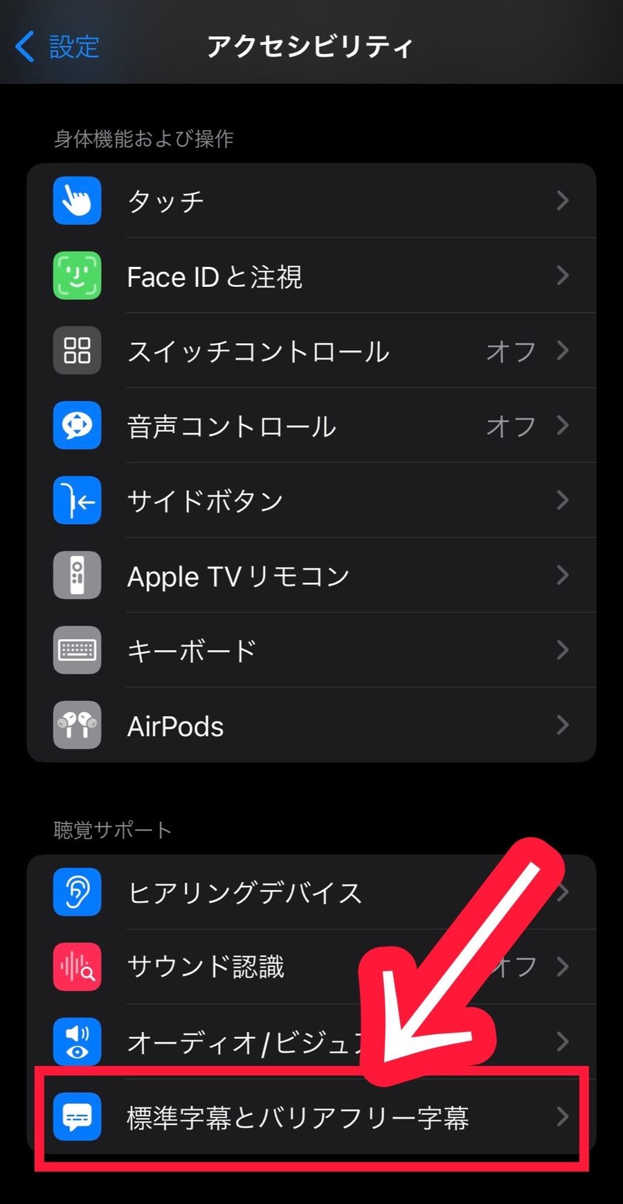 アクセシビリティの設定画面