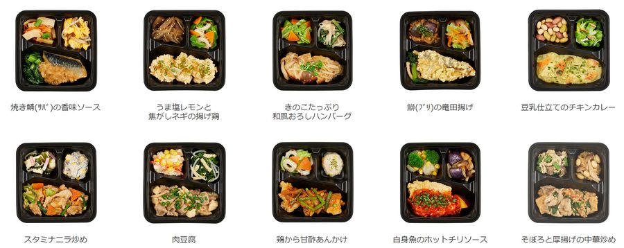 国産プレミアム 10食セット例