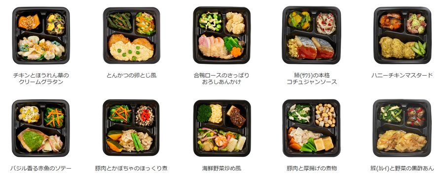 プチデリカ 10食セット例