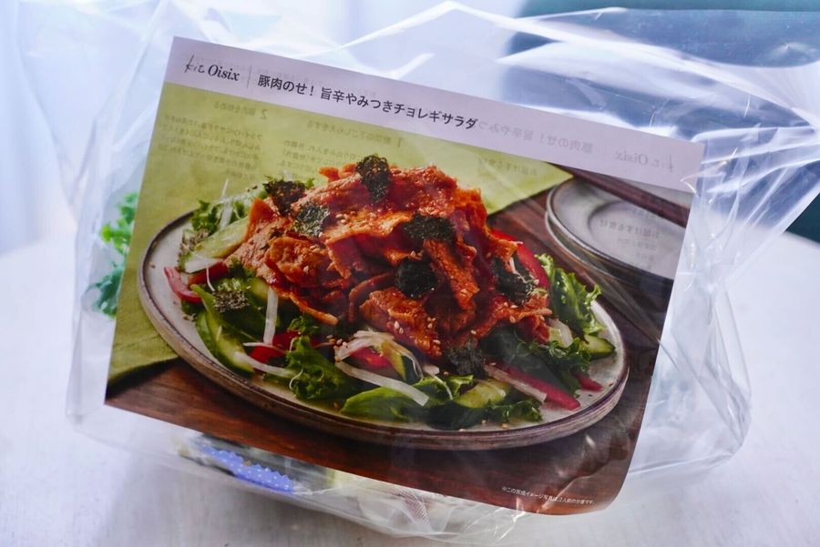 キットオイシックス 旨辛やみつきチョレギサラダ