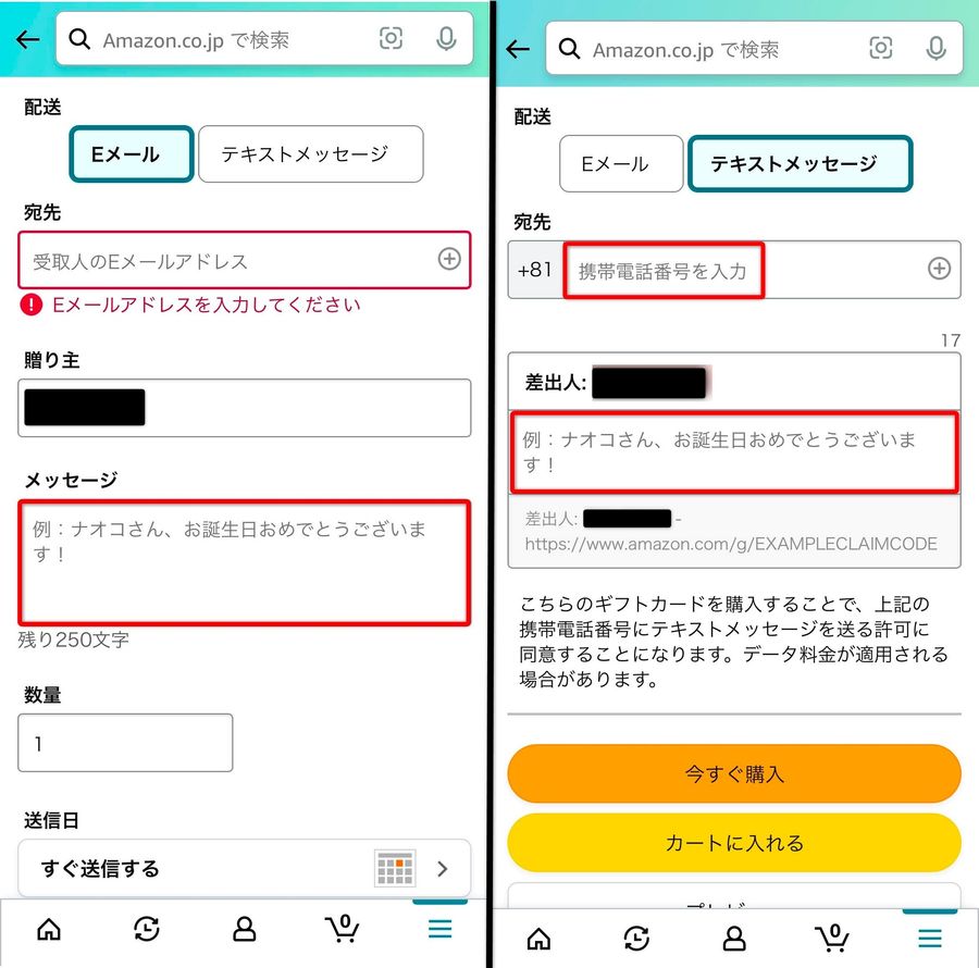 Eメールタイプ購入画面