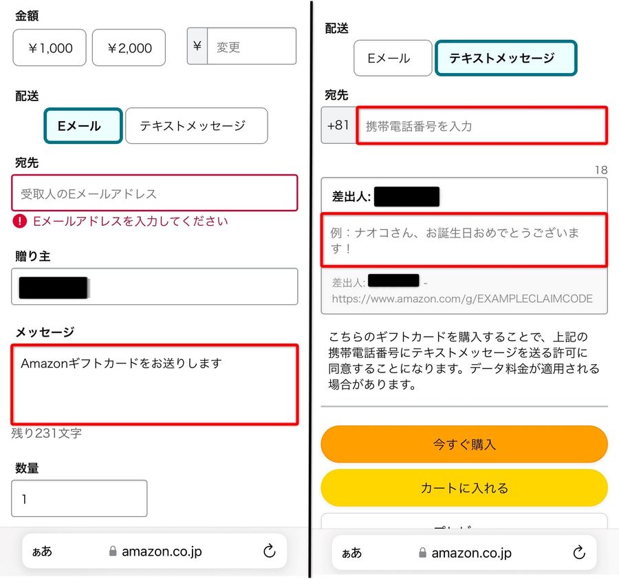 Eメールタイプ購入画面