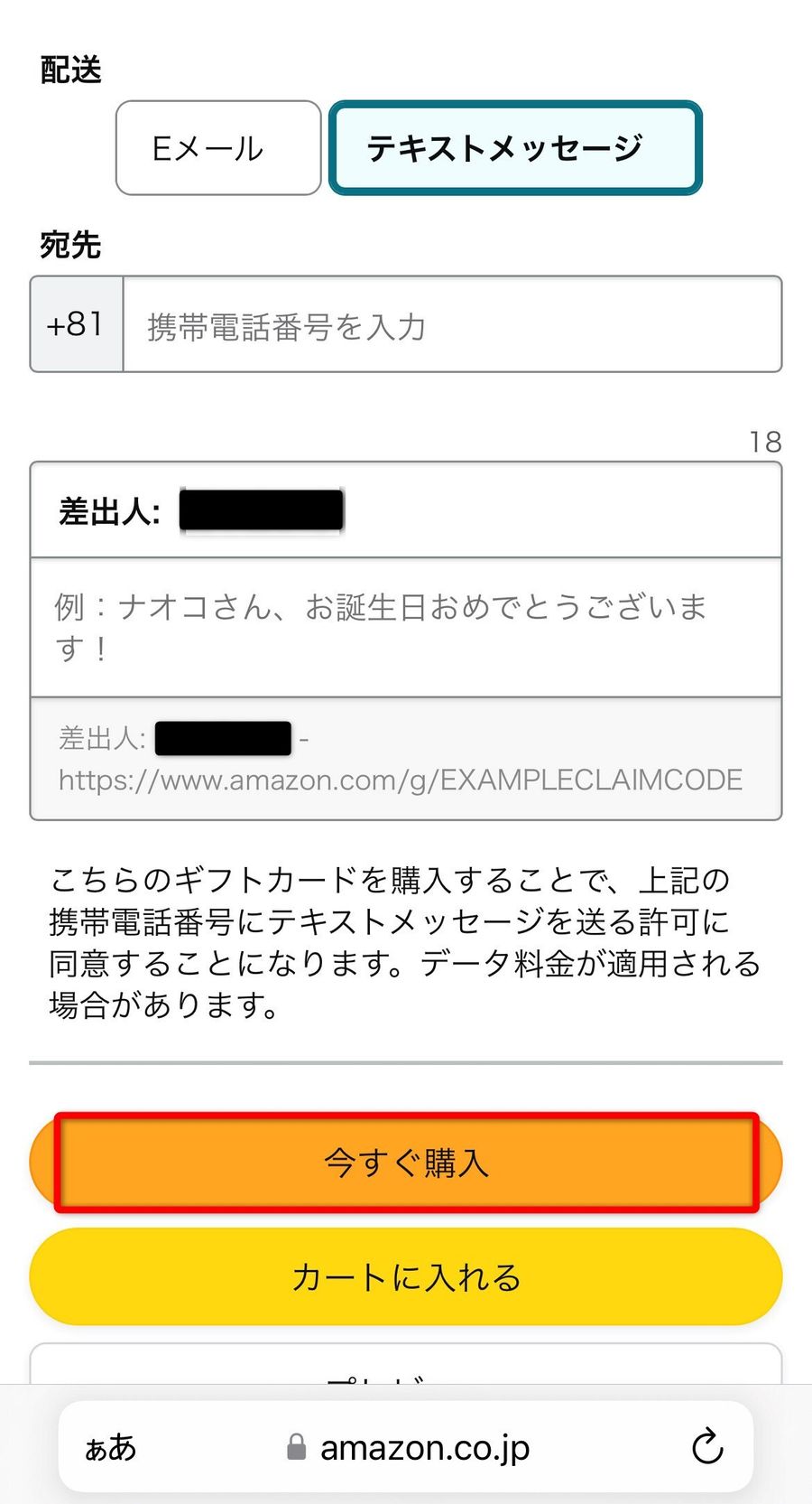 Eメールタイプ購入画面