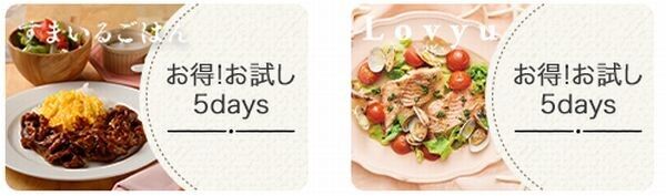 お試し5Daysのイメージ画像