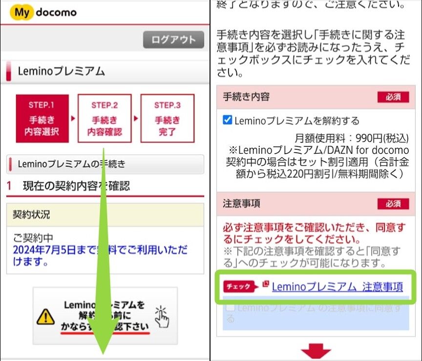Lemino解約-5