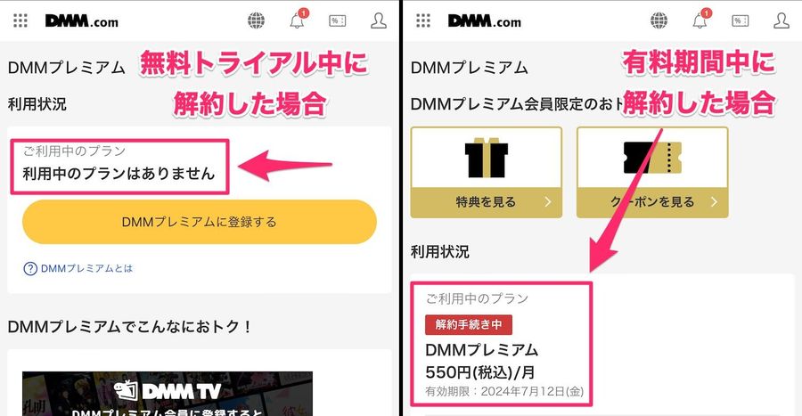 DMMプレミアムのマイページの画像