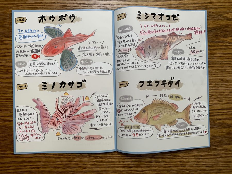 フィシュル おまけ お魚図鑑