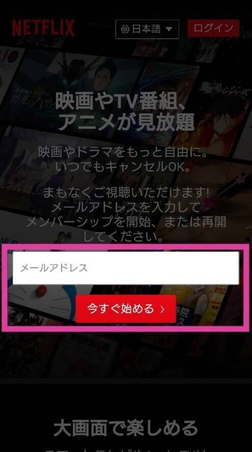 Netflix・登録方法