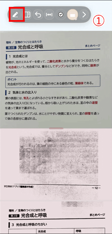 『イルカの暗記ノート』のチェックボックスのつけ方